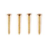 Screws for VT1 Ultra Trem standard